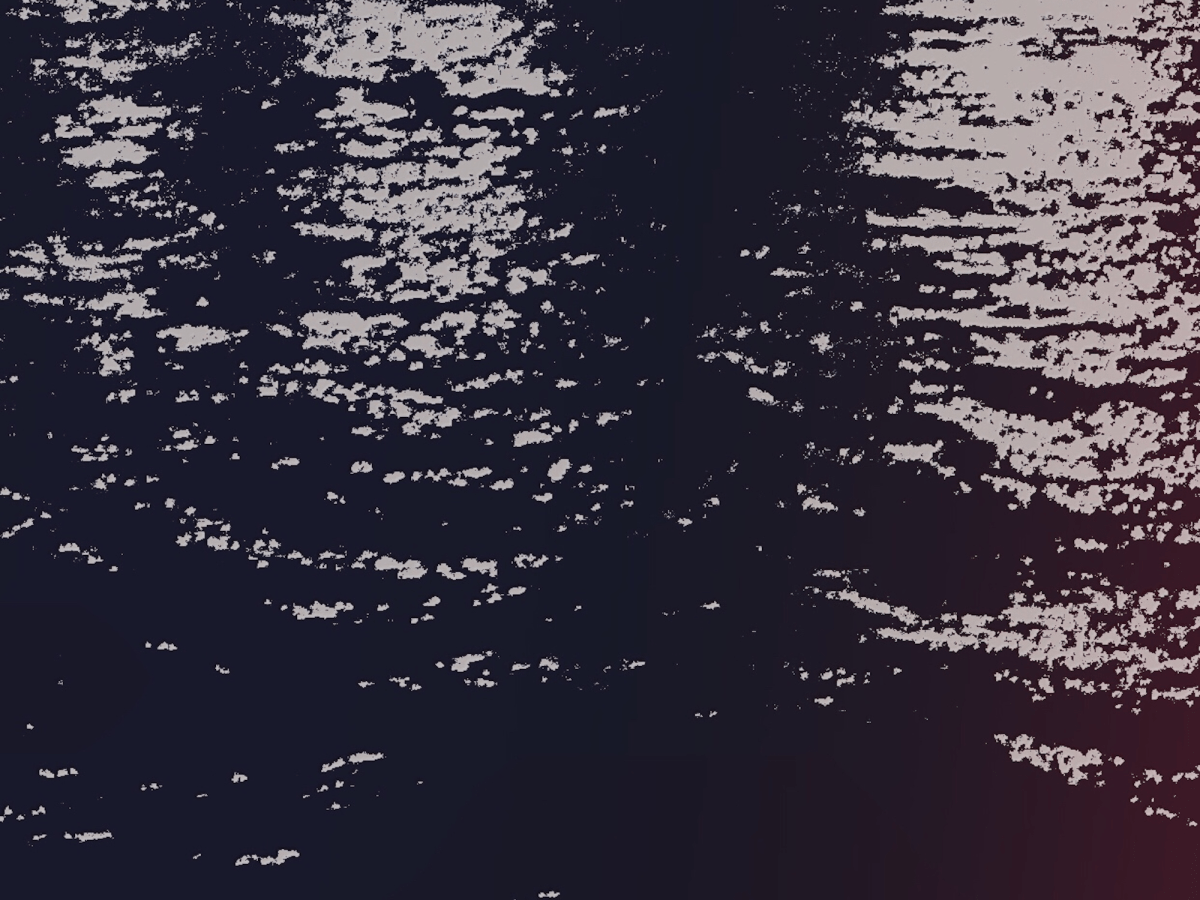 Nat Jenkins Shares “teatime in the&nbsp;jungle”